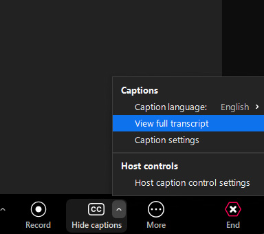 click 'Show Captions' in the bottom menu bar